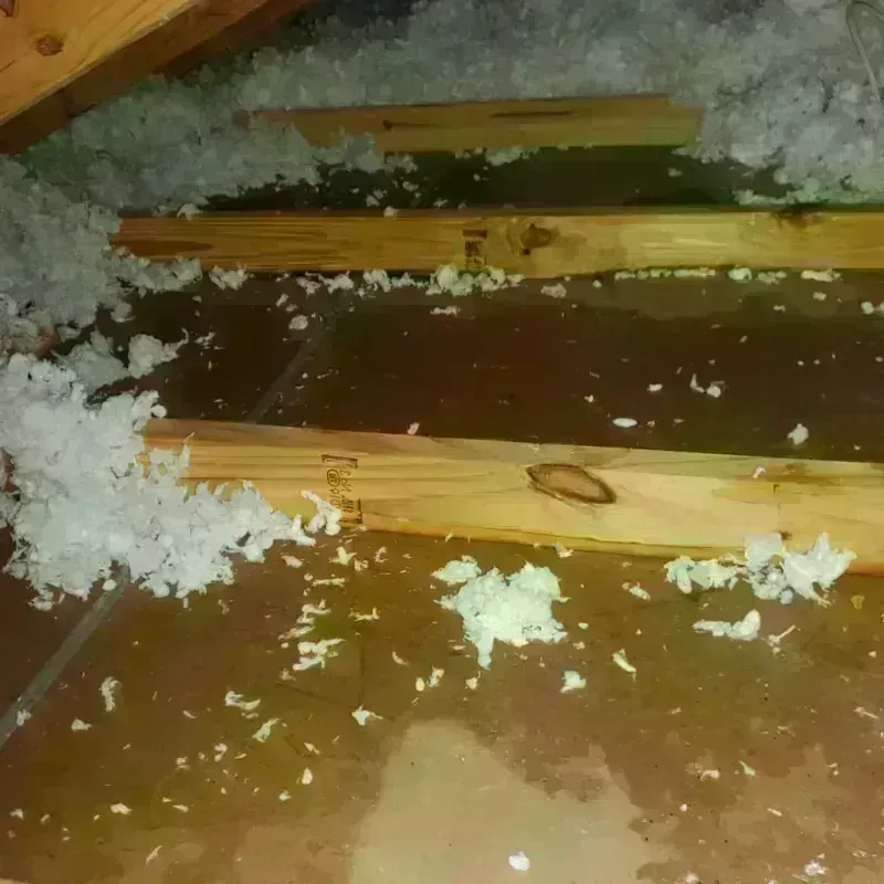 Attic Water Damage in Hardwick, GA