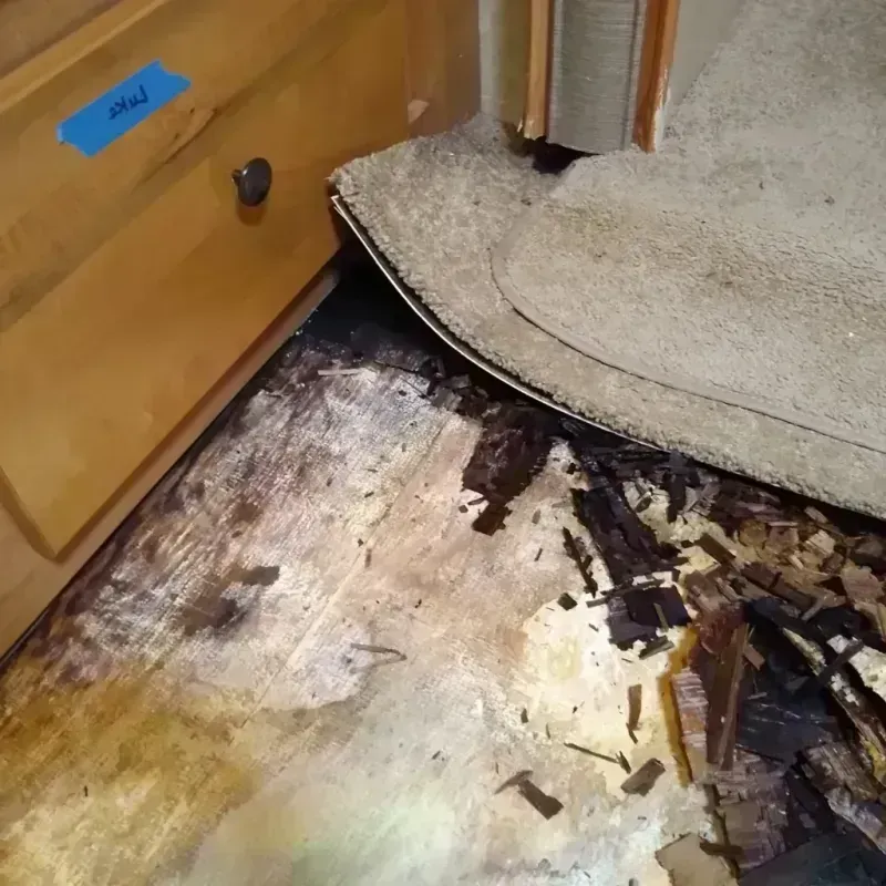 Best Wood Floor Water Damage Service in Hardwick, GA